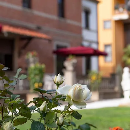 Hotel The Rif - Boutique